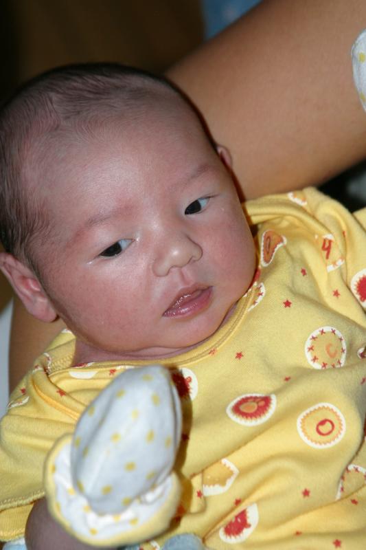 Baby Tia - with boxing gloves