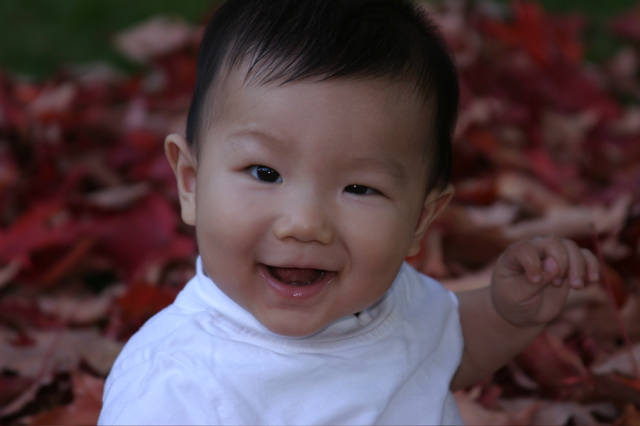 Kobe - Fall fun!