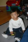 Kobe at 8 months old
