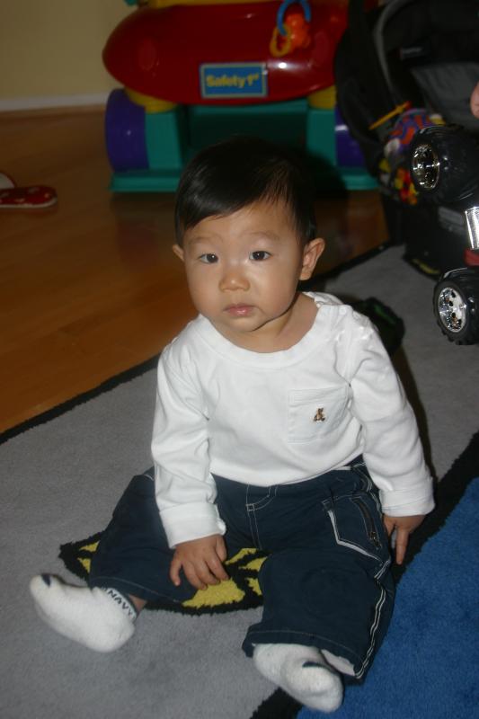 Kobe at 8 months old