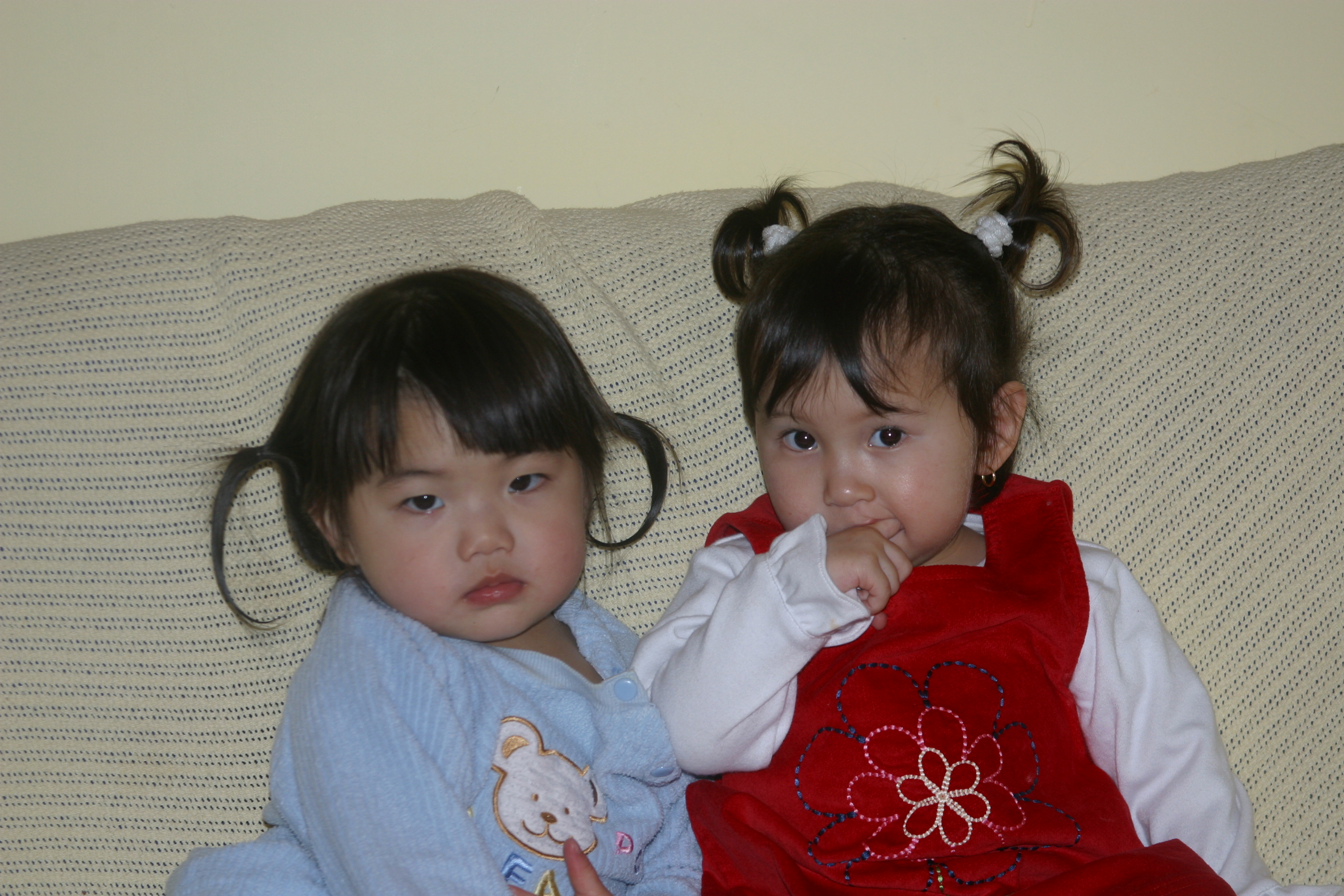 354-5487 IMG