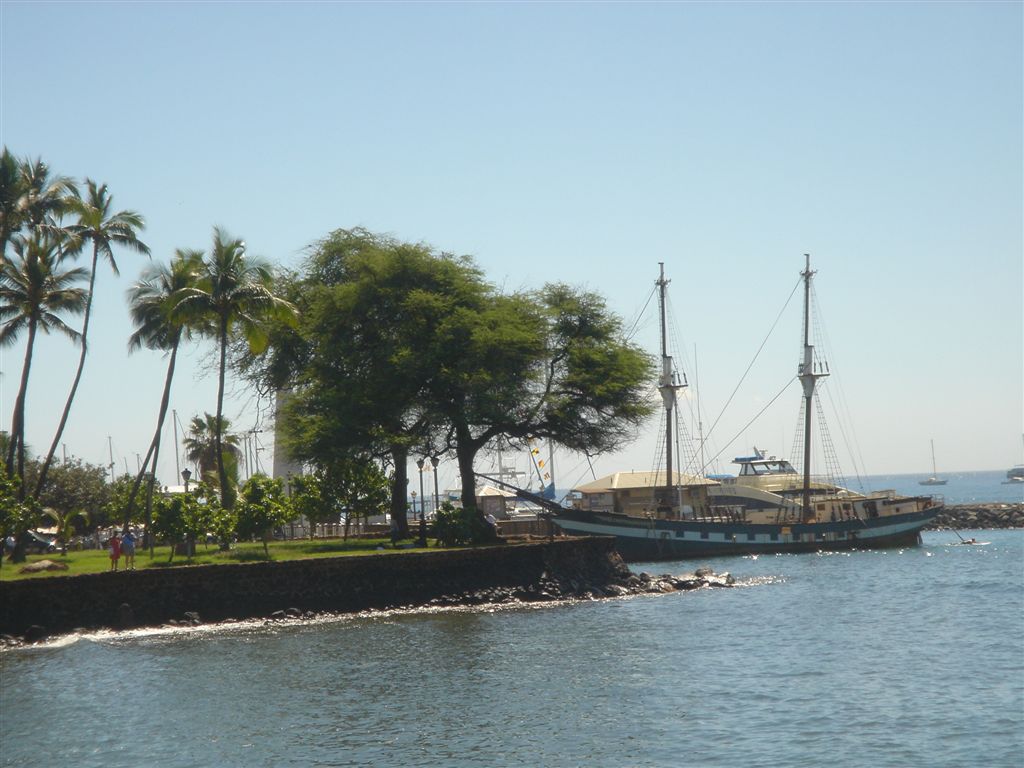 DSC 0554h