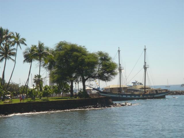 DSC 0554h