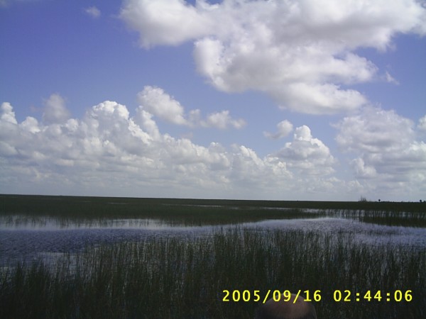 Florida Vacation 2005 052.jpg