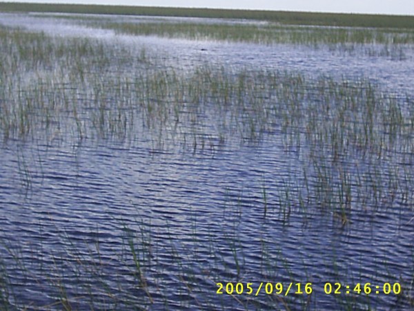 Florida Vacation 2005 056.jpg