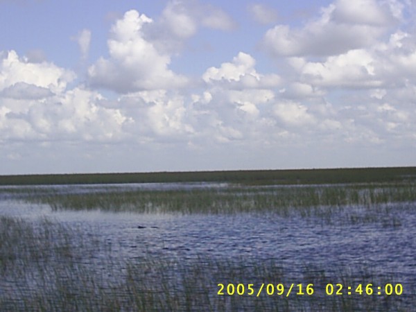 Florida Vacation 2005 057.jpg