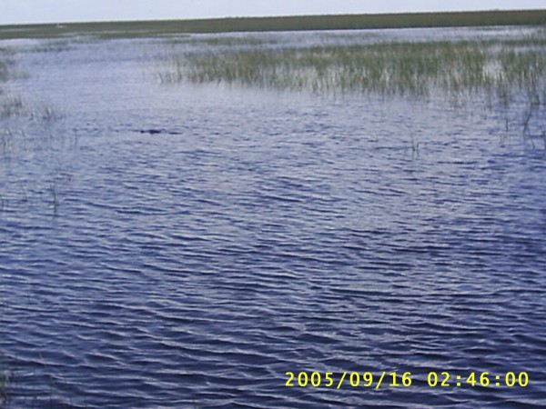 Florida Vacation 2005 058.jpg