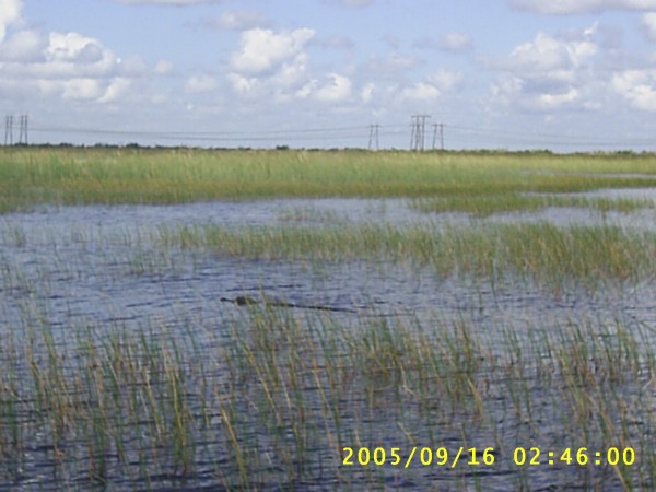 Florida Vacation 2005 069.jpg