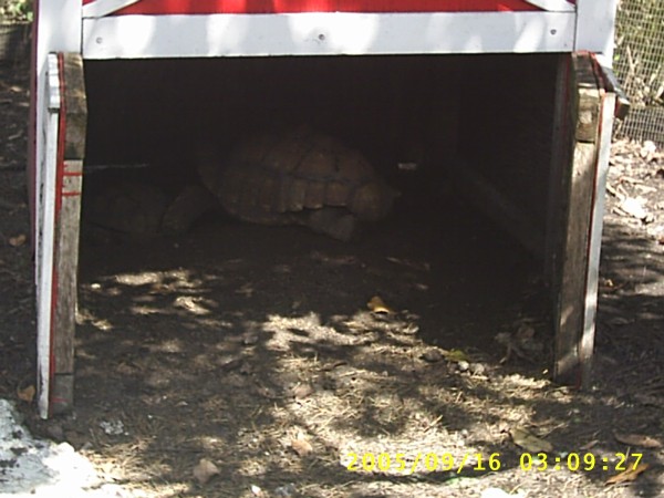 Florida Vacation 2005 102.jpg
