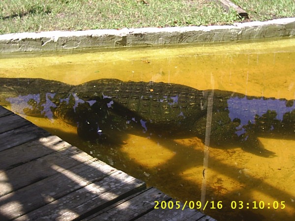 Florida Vacation 2005 110.jpg
