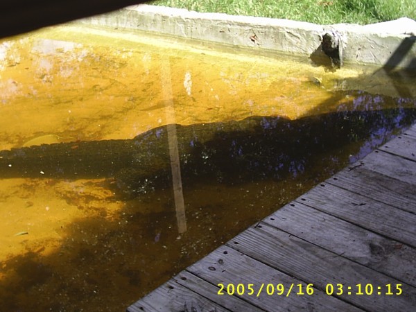 Florida Vacation 2005 111.jpg