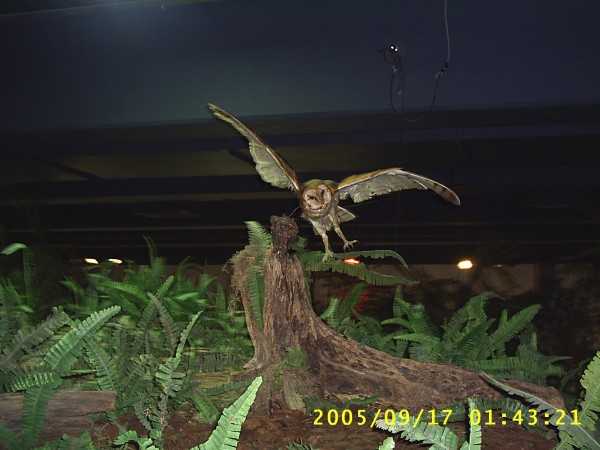 Florida Vacation 2005 216.jpg