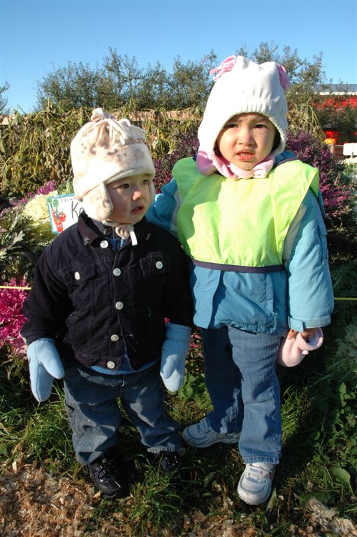 DSC_0538