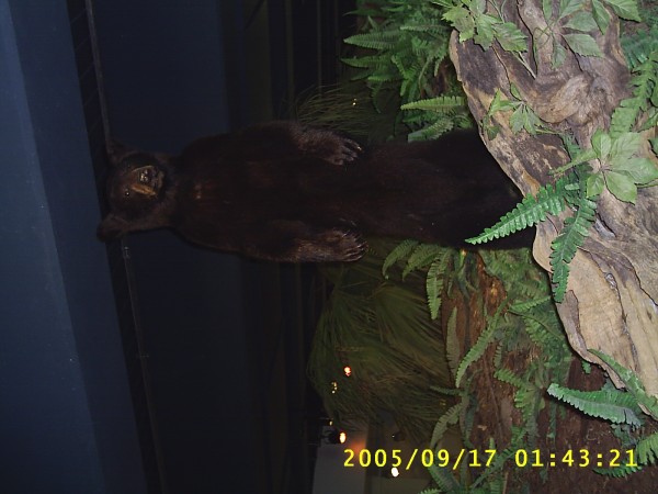 Florida Vacation 2005 217.jpg