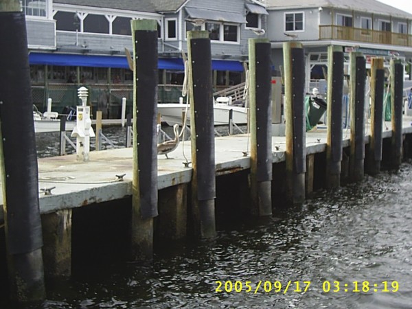 Florida Vacation 2005 307.jpg